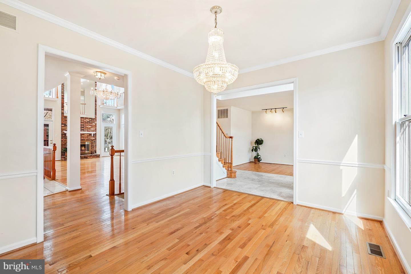 5 Driscoll Court photo 8