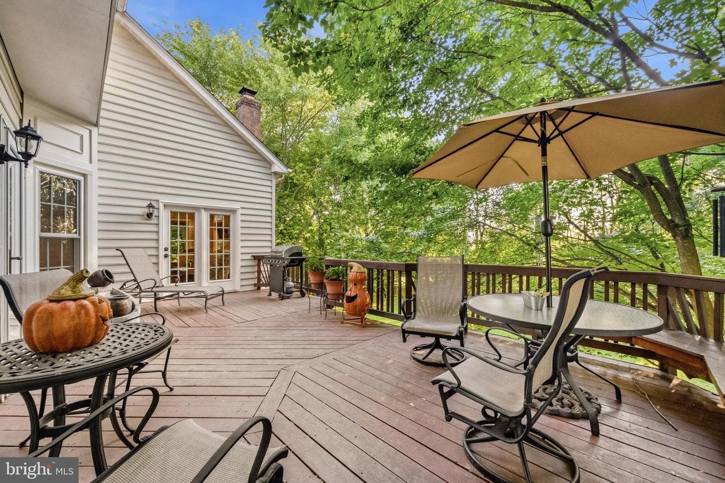 21527 Fox Field Circle photo 51