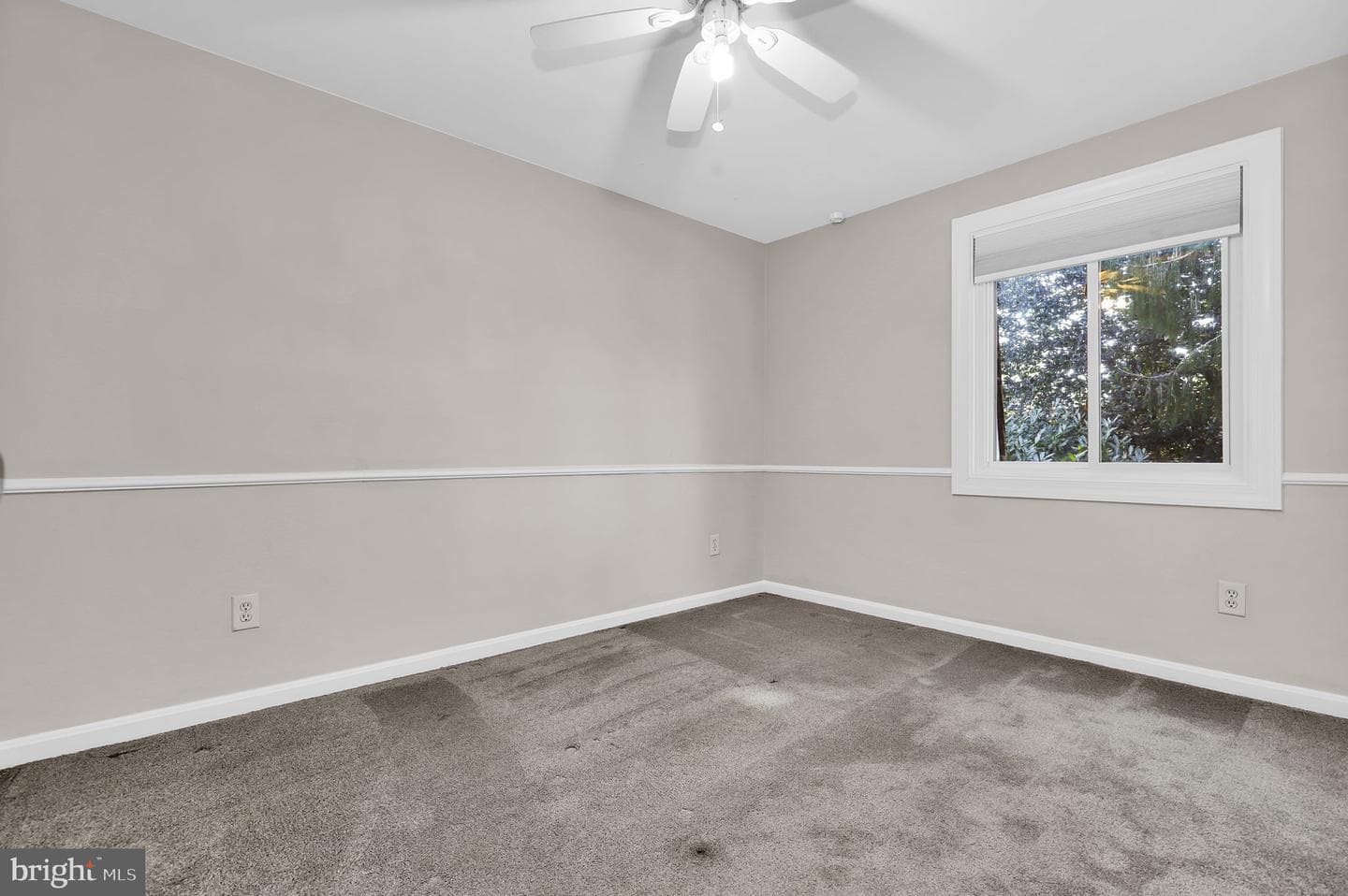 19103 Capehart Drive photo 16