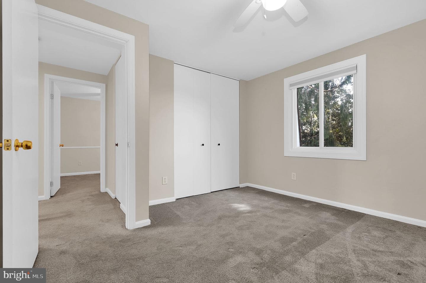 19103 Capehart Drive photo 20