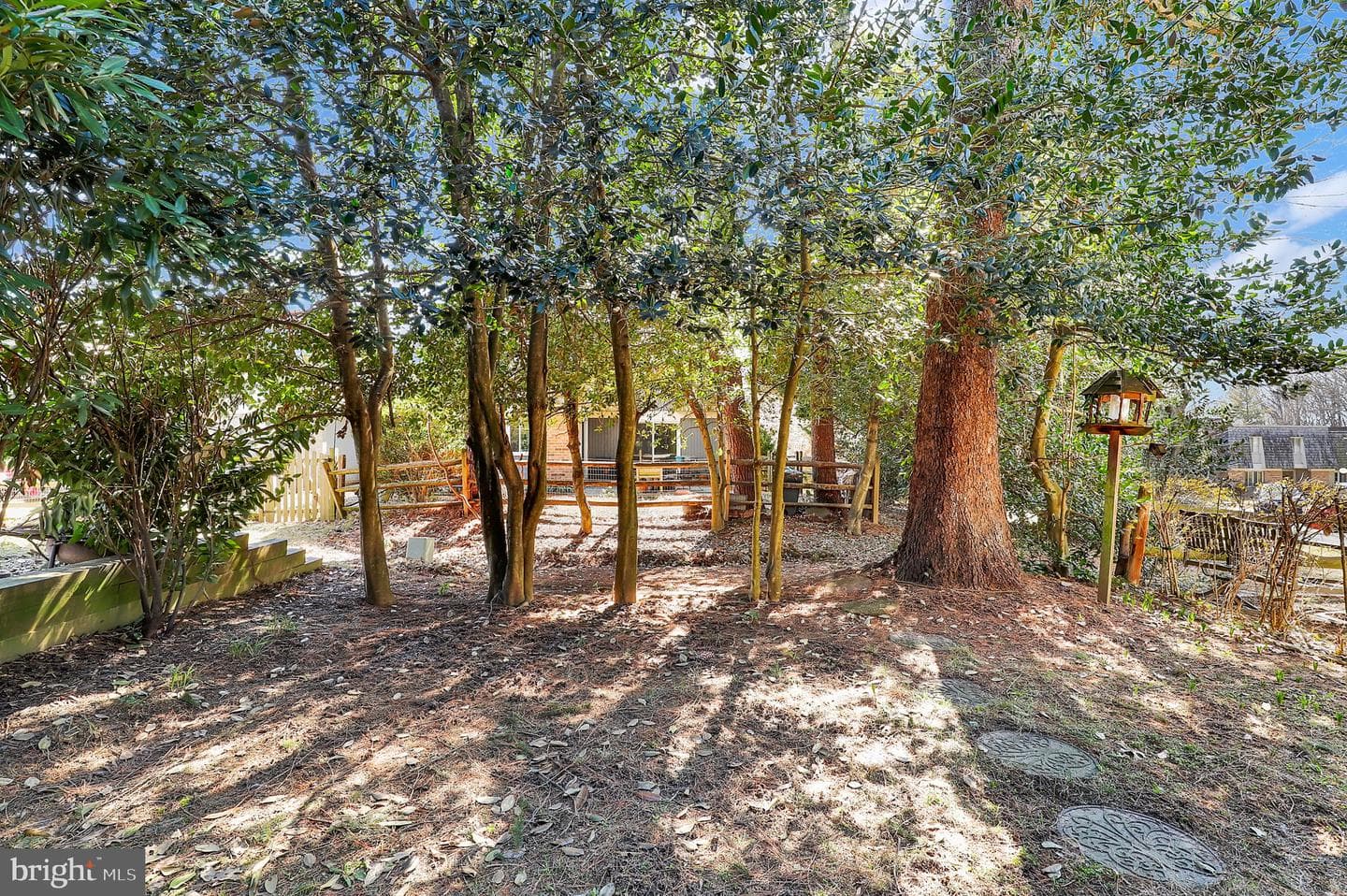 19103 Capehart Drive photo 37