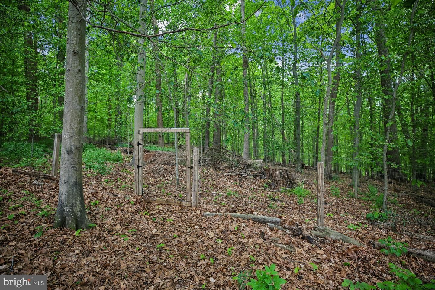 13714 Drake Drive photo 83
