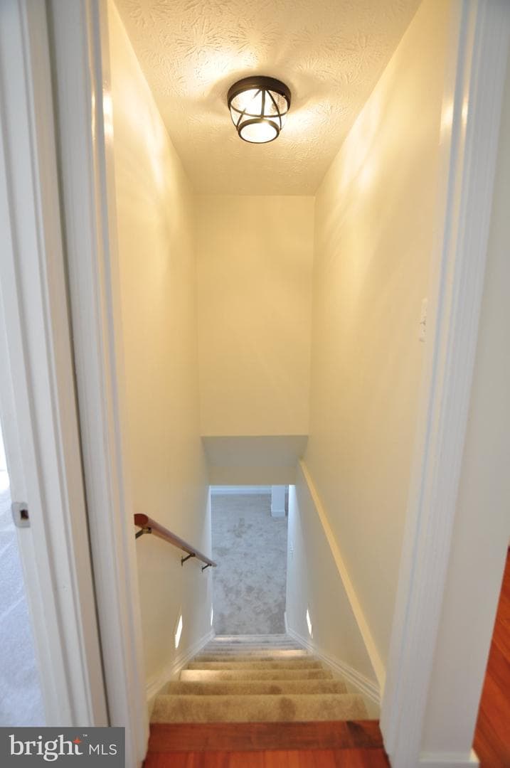 7421 Brenish Drive photo 26