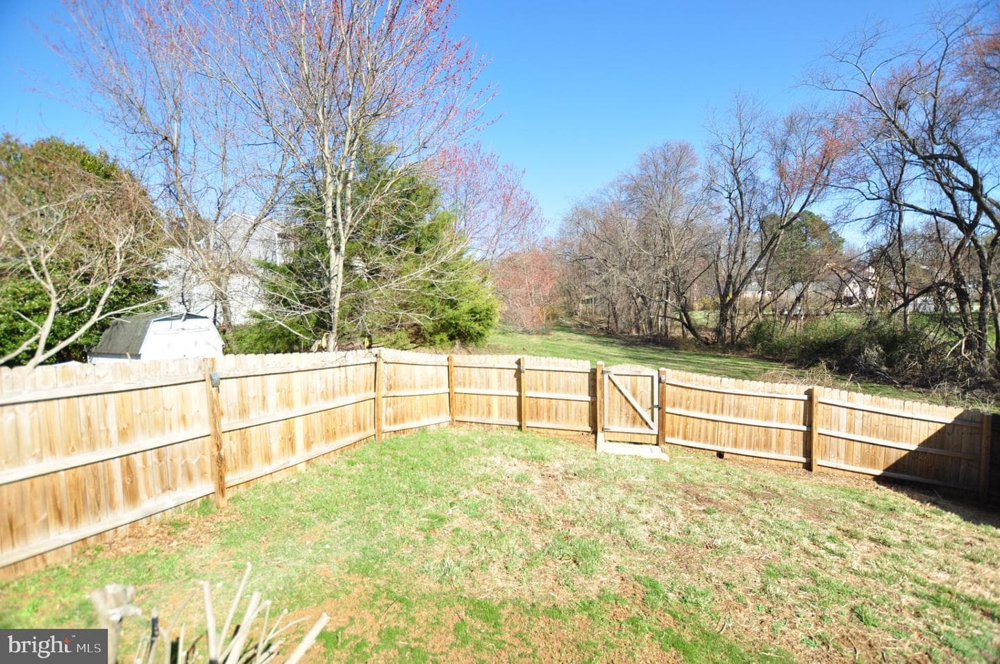 7421 Brenish Drive photo 53