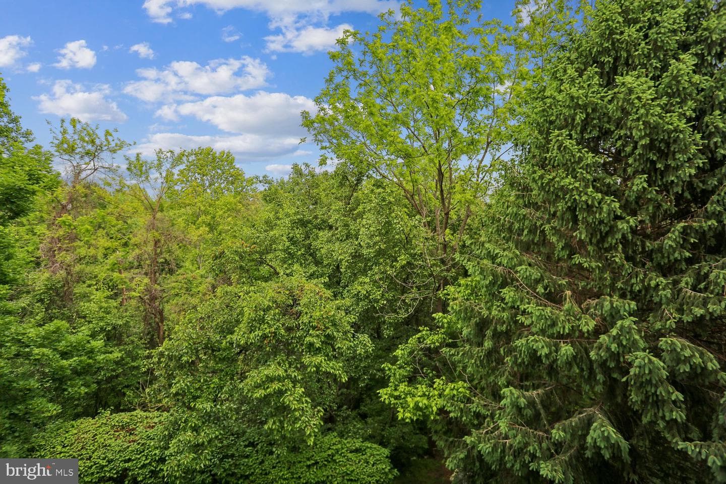 18715 Sparkling Water Drive #9-202 photo 33