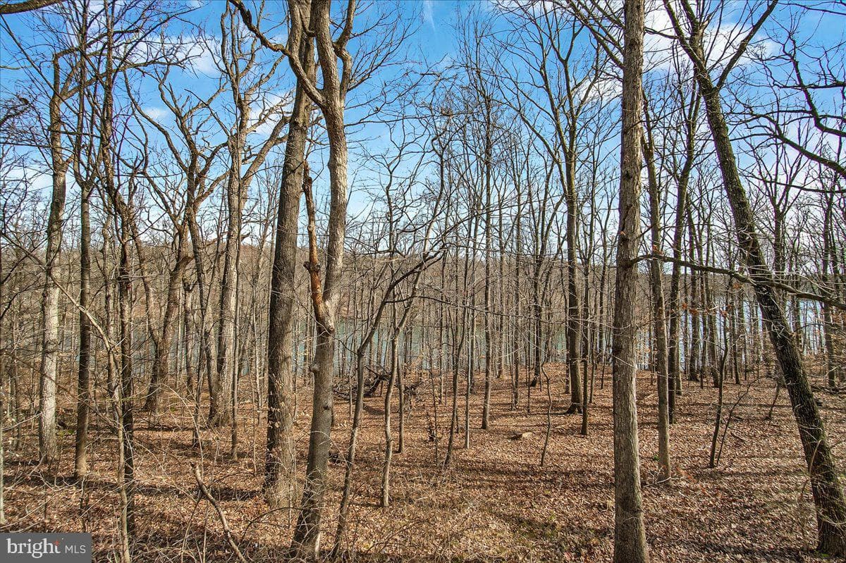 20073 Placid Lake Terrace photo 44