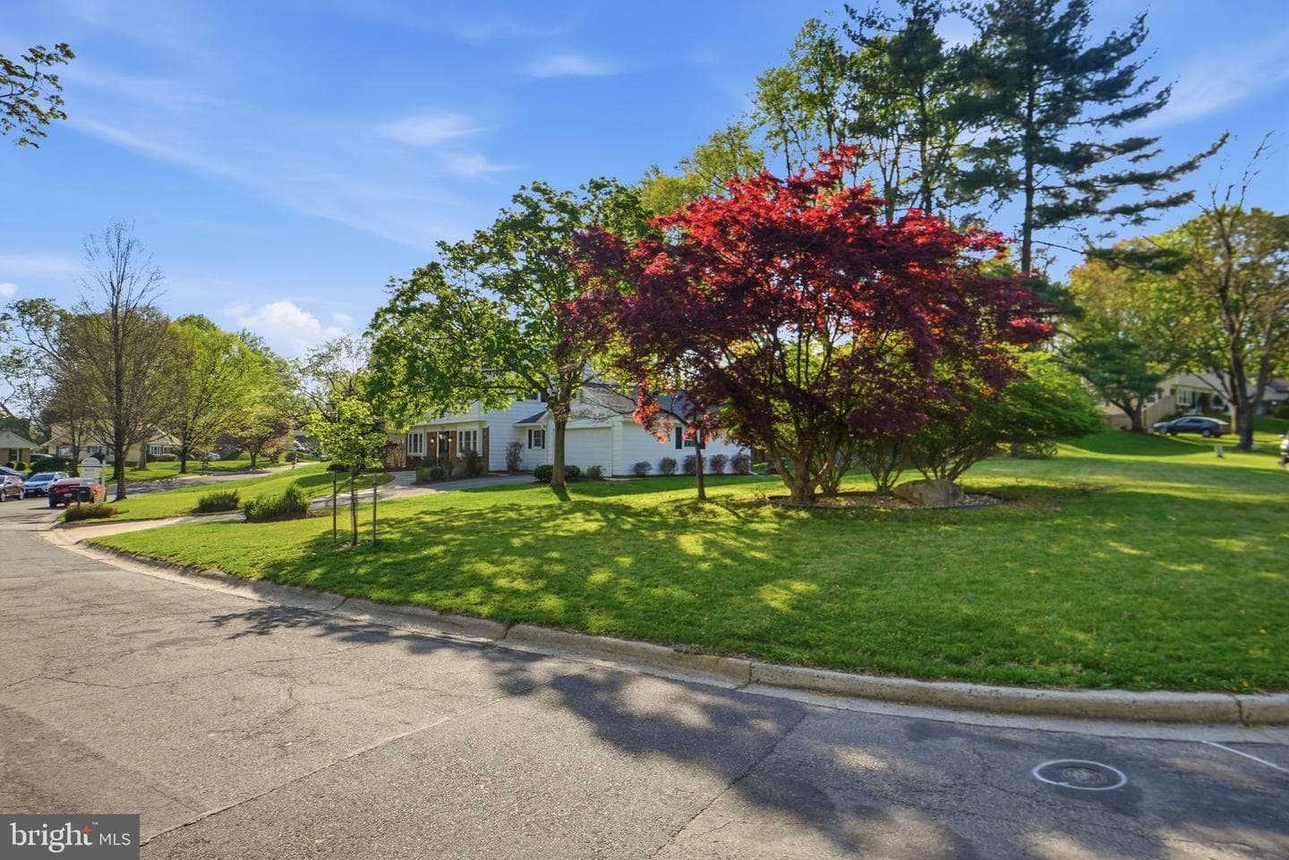 3221 Beret Lane photo 44