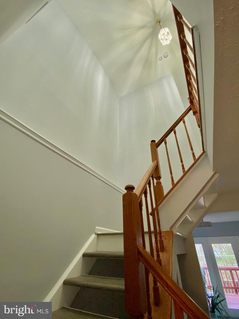12421 Walnut Cove Circle photo 12