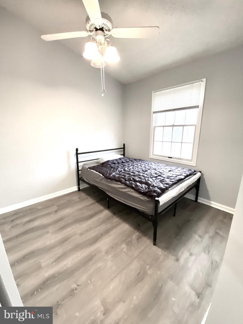 12421 Walnut Cove Circle photo 20