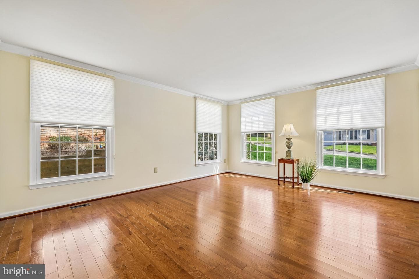 14416 Frances Green Way photo 10