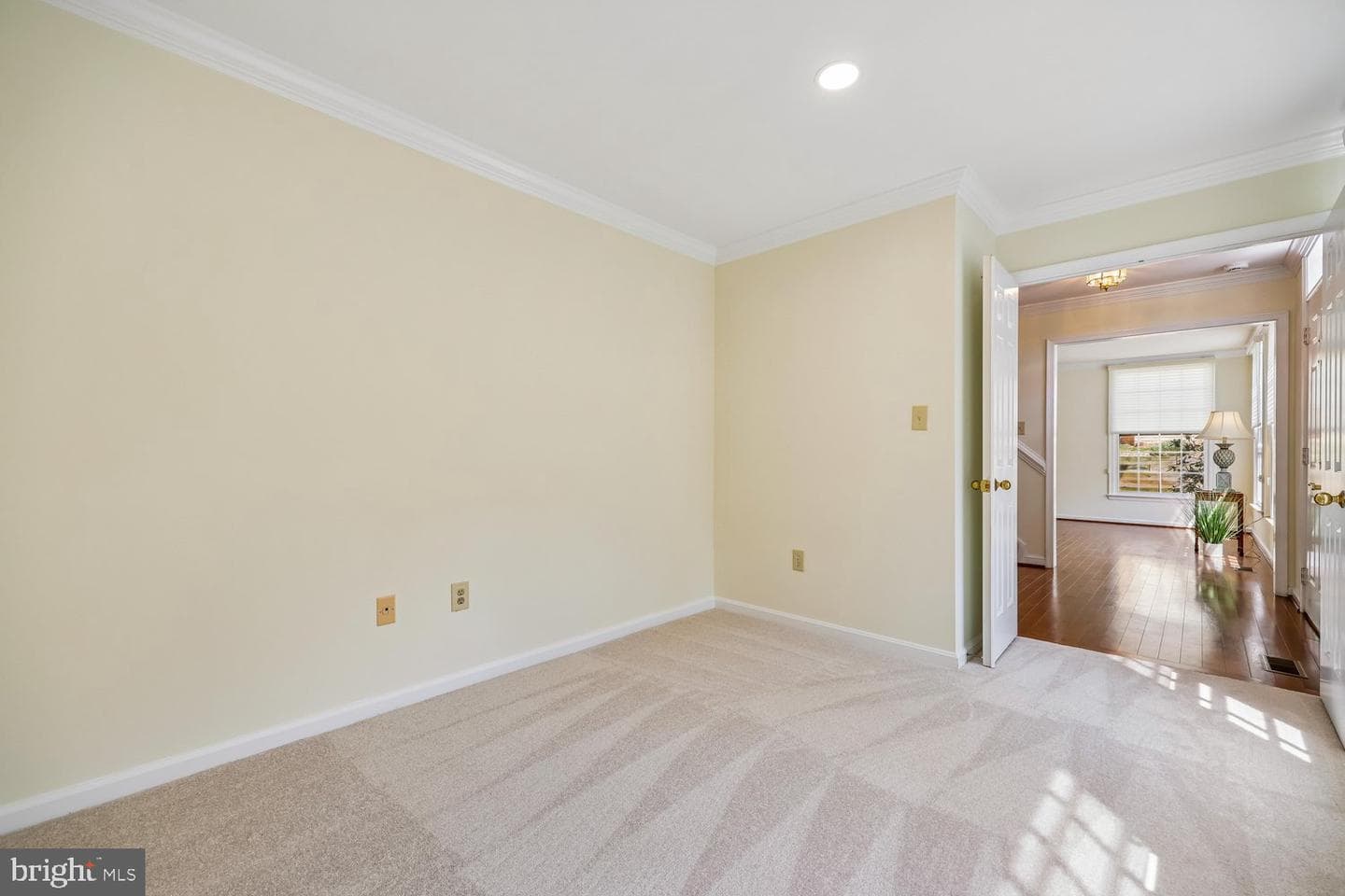 14416 Frances Green Way photo 25