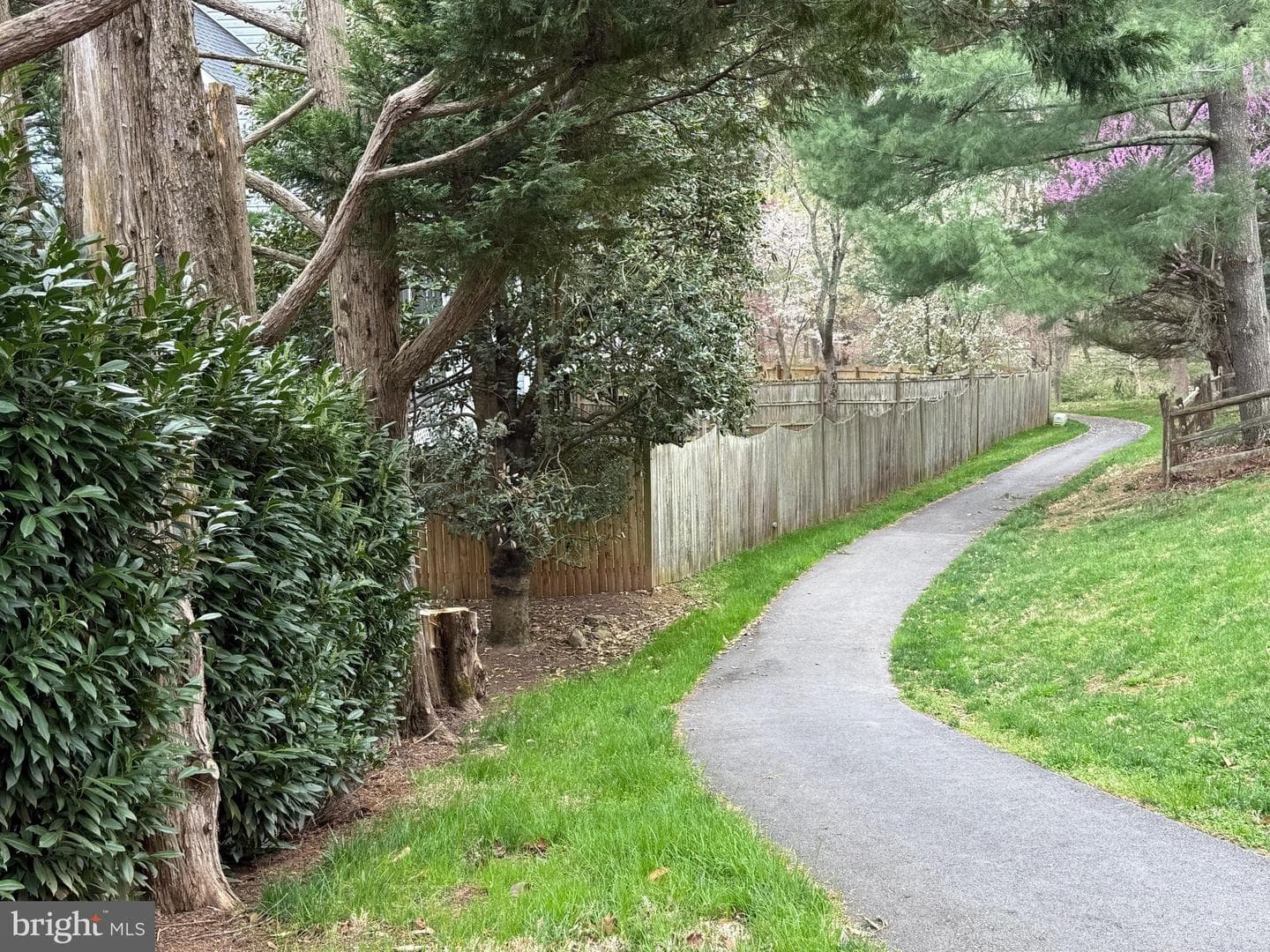 14416 Frances Green Way photo 56