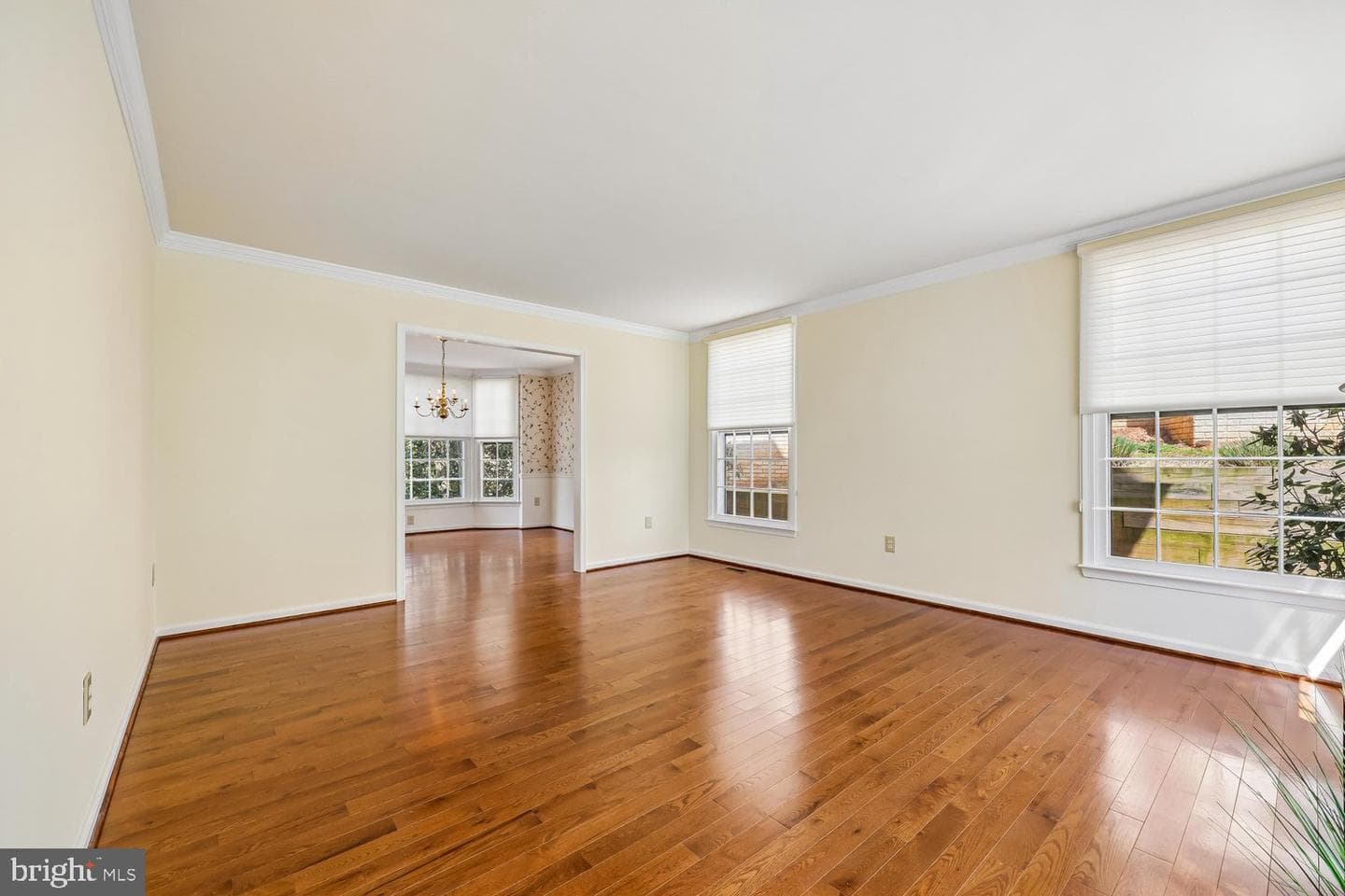 14416 Frances Green Way photo 9