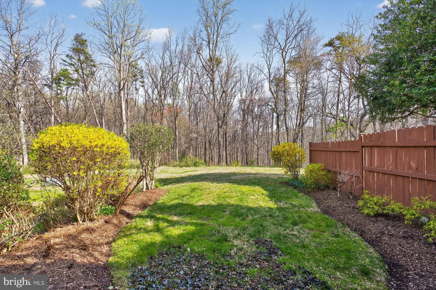 7521 Coddle Harbor Lane photo 33