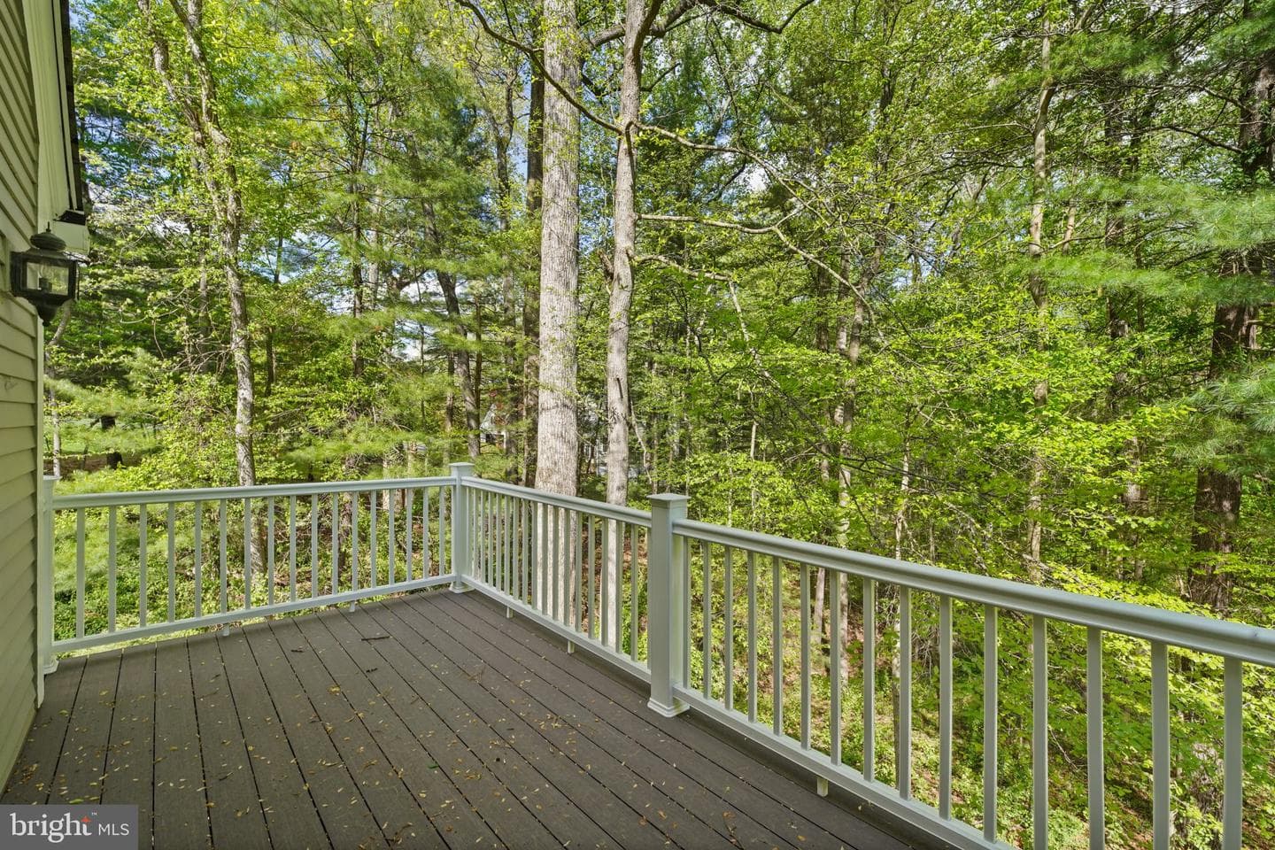 18 Pinebark Court photo 46