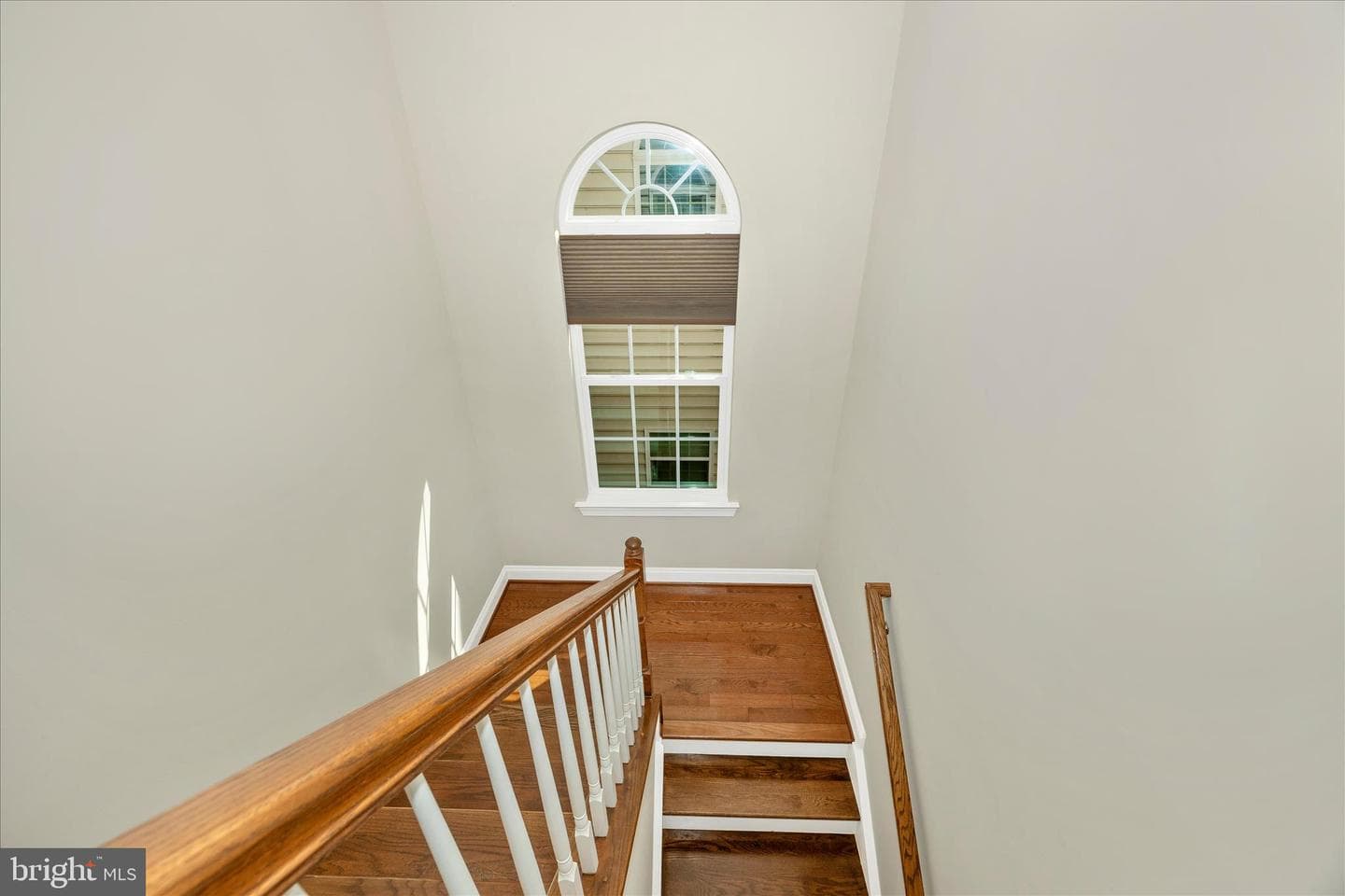 11906 Chestnut Branch Way photo 20