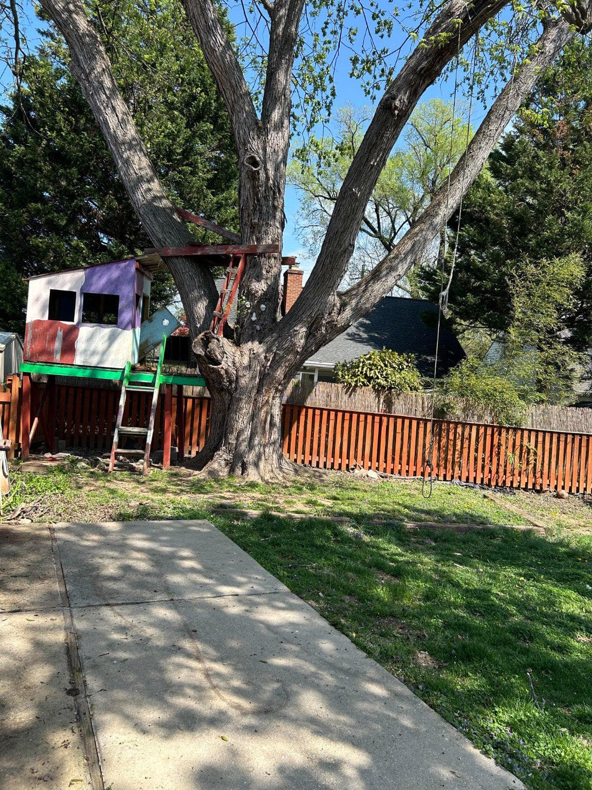9907 Woodland Drive photo 71