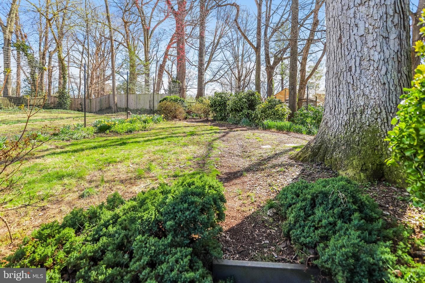 4306 Ambler Drive photo 37