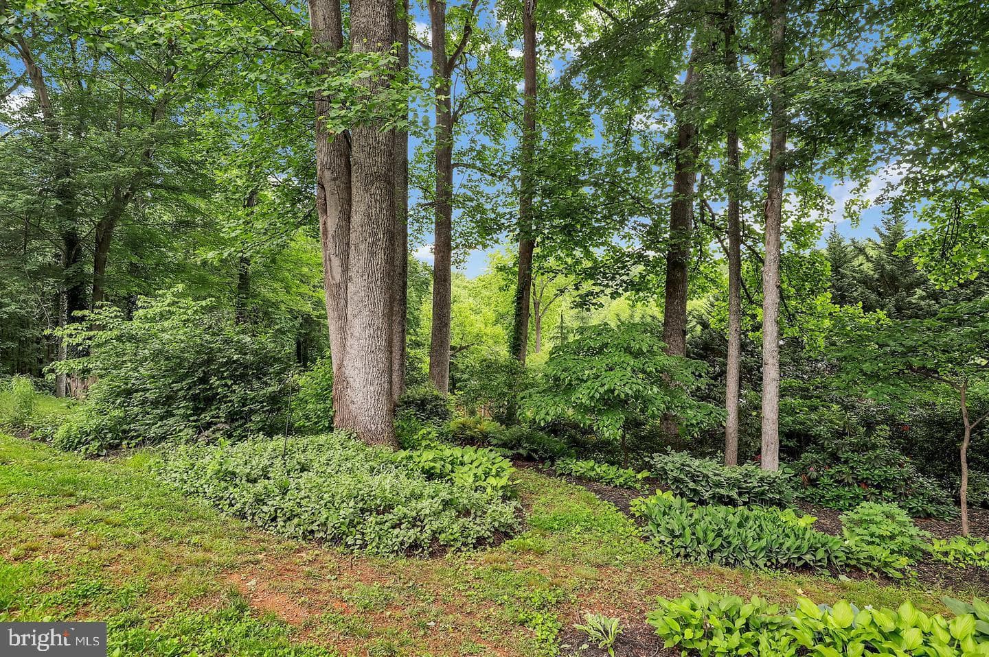 16420 Black Rock Road photo 89