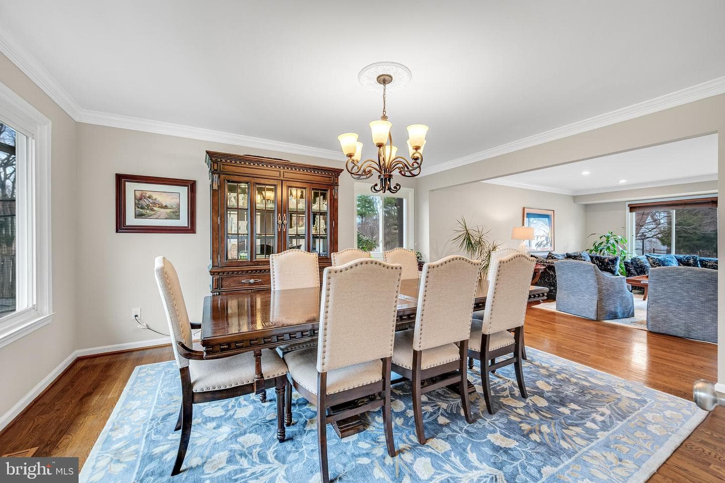 11512 Flints Grove Lane photo 8