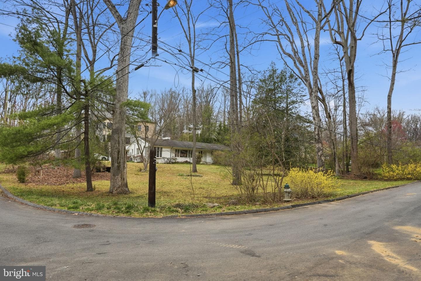 9010 Bradgrove photo 4
