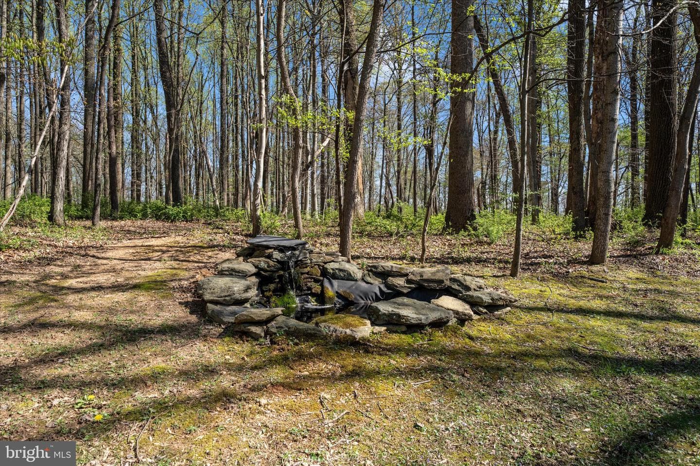 15211 Avery Road photo 48