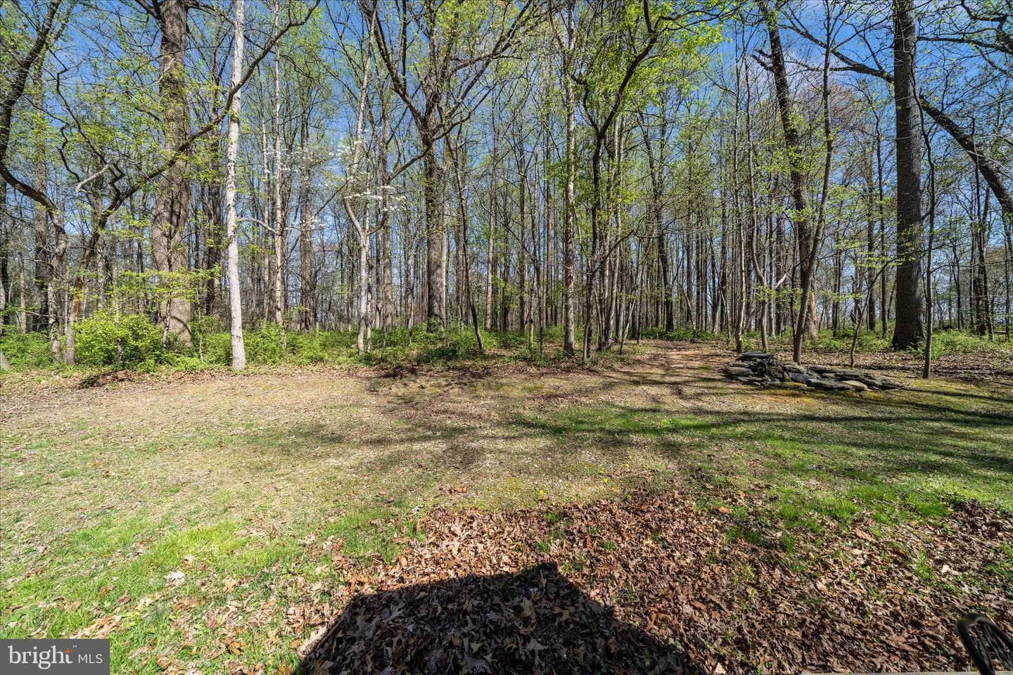 15211 Avery Road photo 53