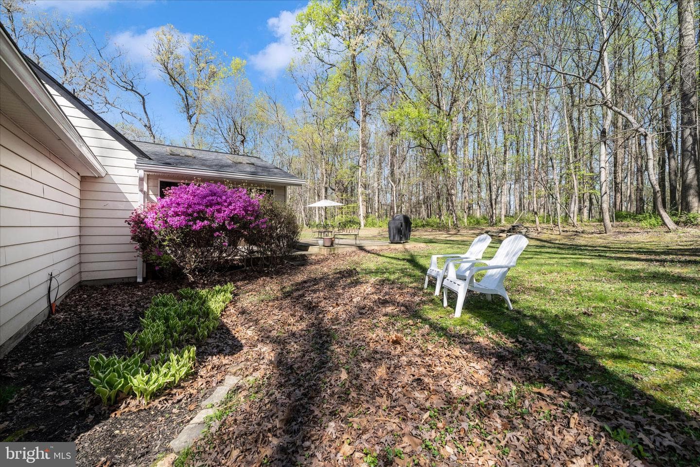 15211 Avery Road photo 54