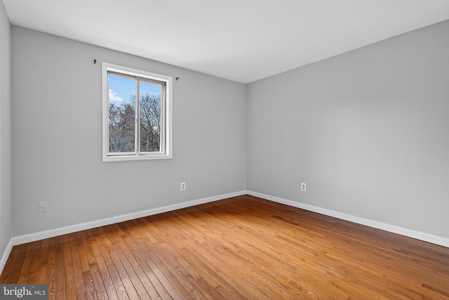 19505 Worsham Court photo 15