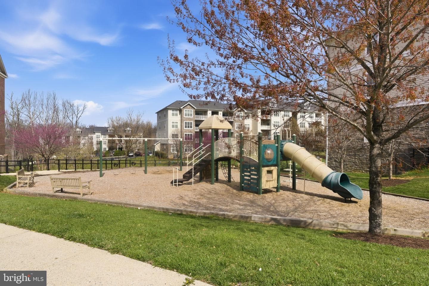 22649 Majestic Elm Court photo 64
