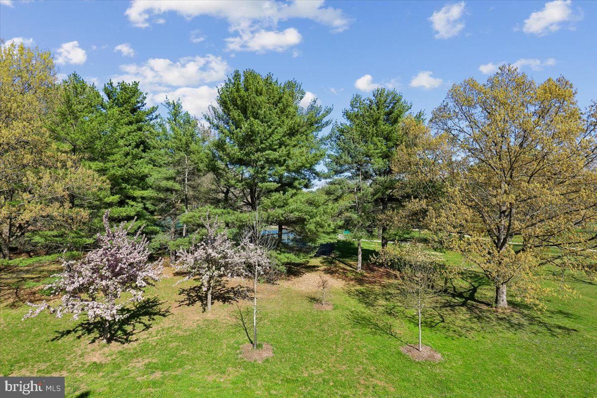 7717 Goodfellow Way photo 13