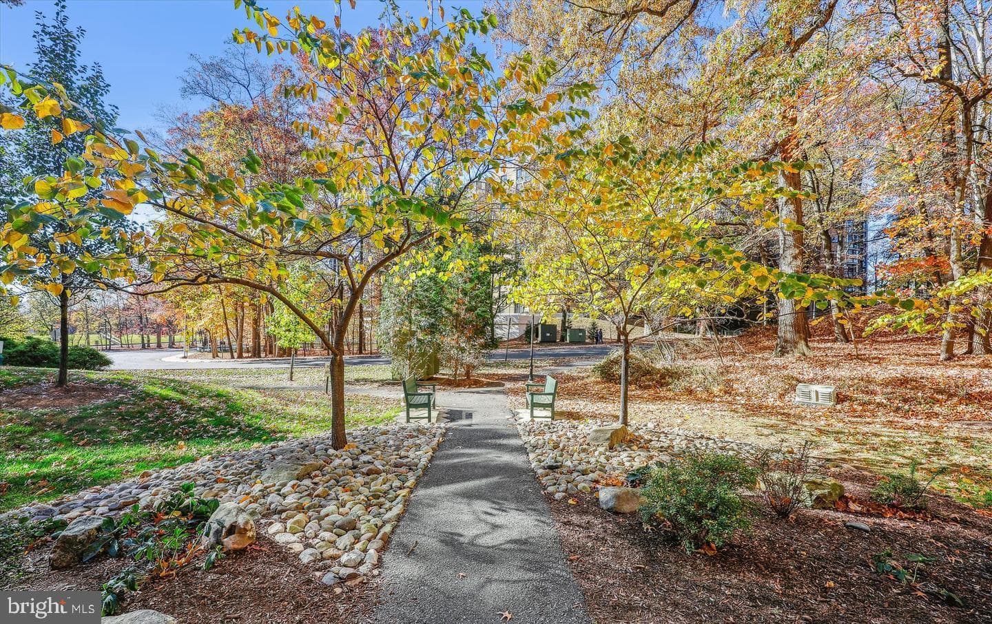 15115 Interlachen Drive #3-204 photo 2