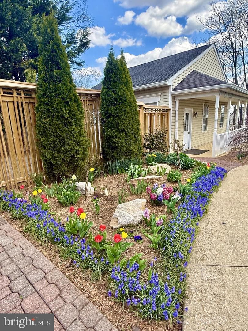 26031 Mount Vernon Avenue photo 51