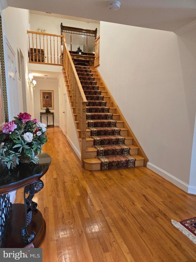 10810 Burbank Drive photo 5