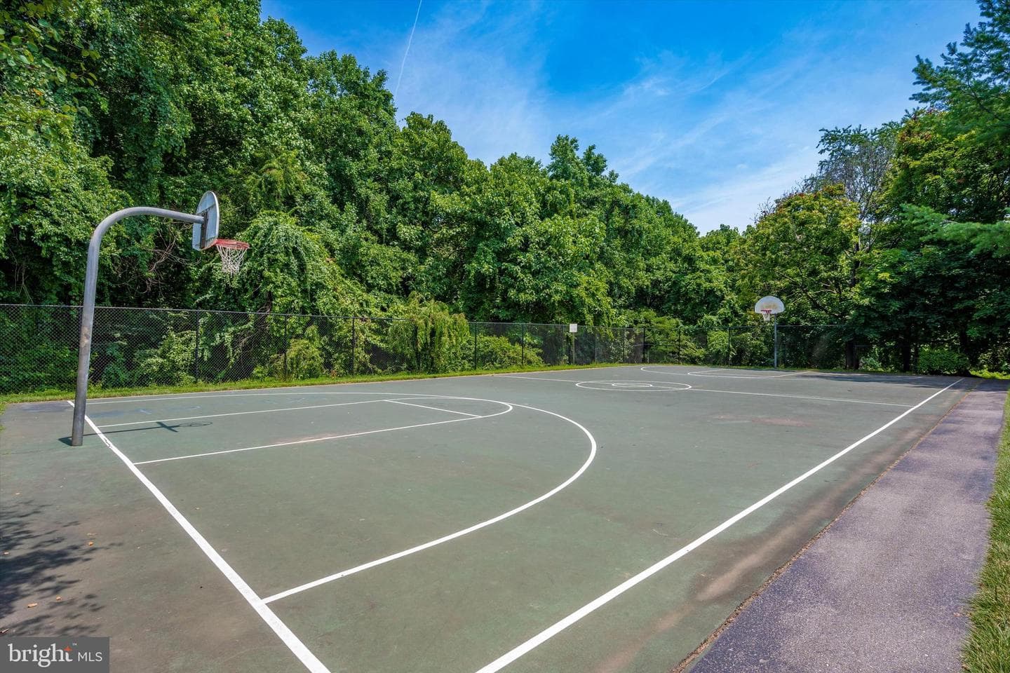 11430 Locustdale Terrace #231 photo 42
