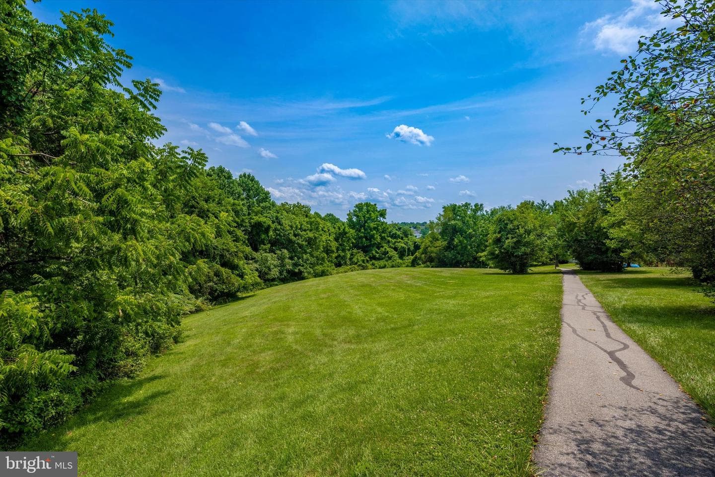 11430 Locustdale Terrace #231 photo 45