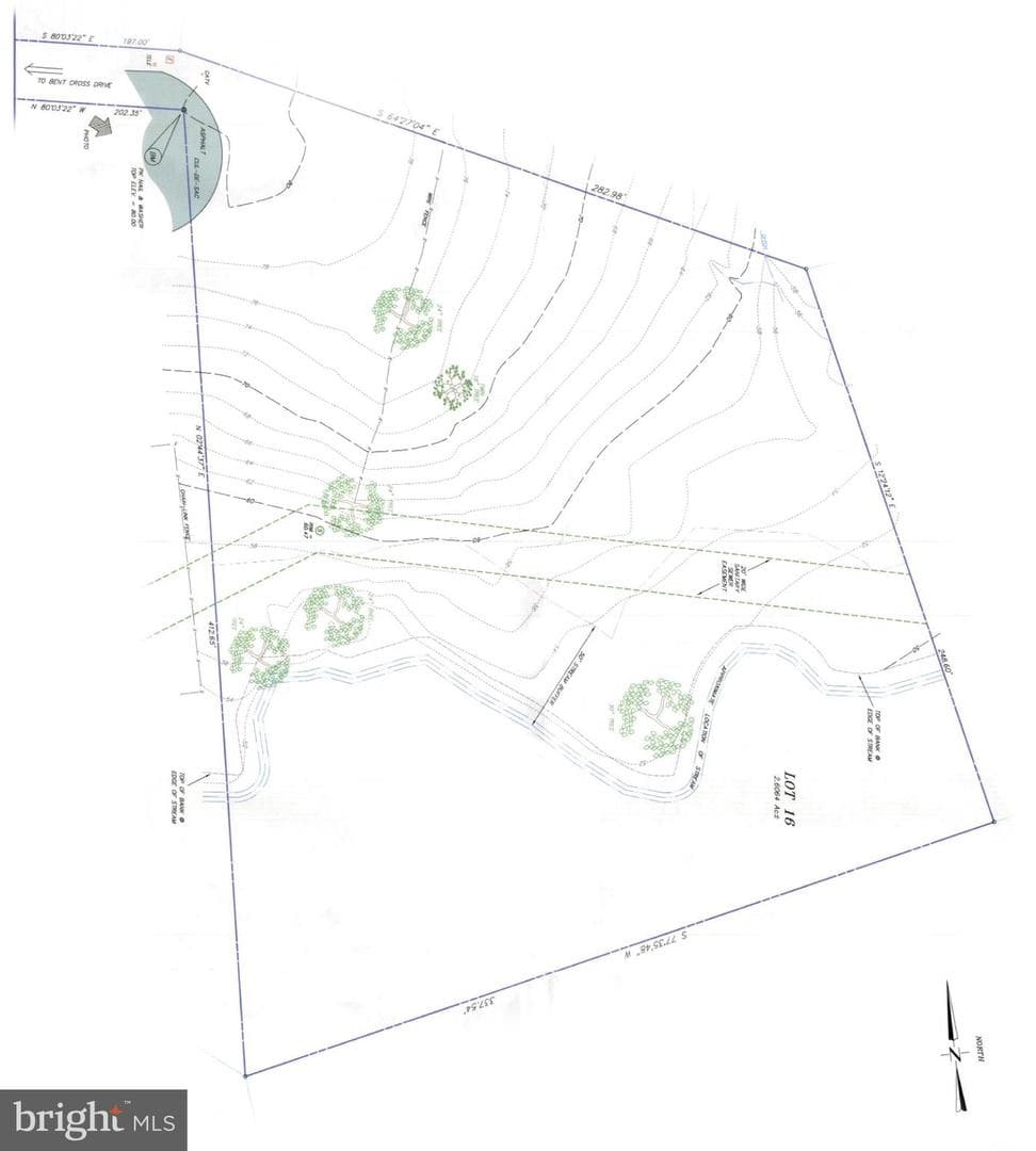 9933 Bentcross Drive photo 12