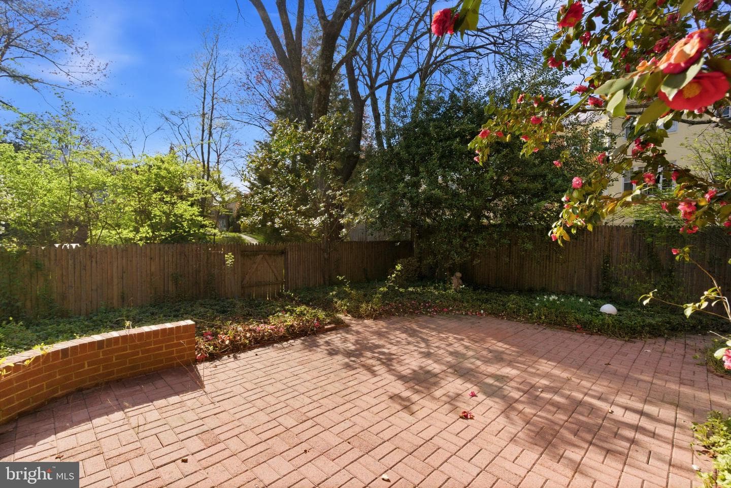 3512 Hamlet Place photo 6