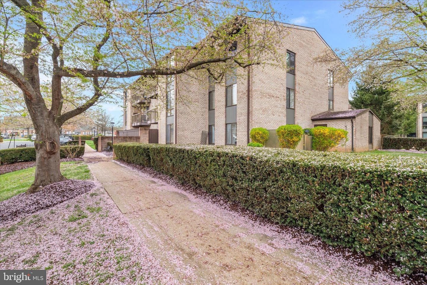 10000 Stedwick Road #104 photo 30