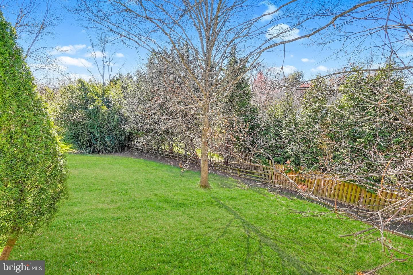 15801 Seurat Drive photo 42