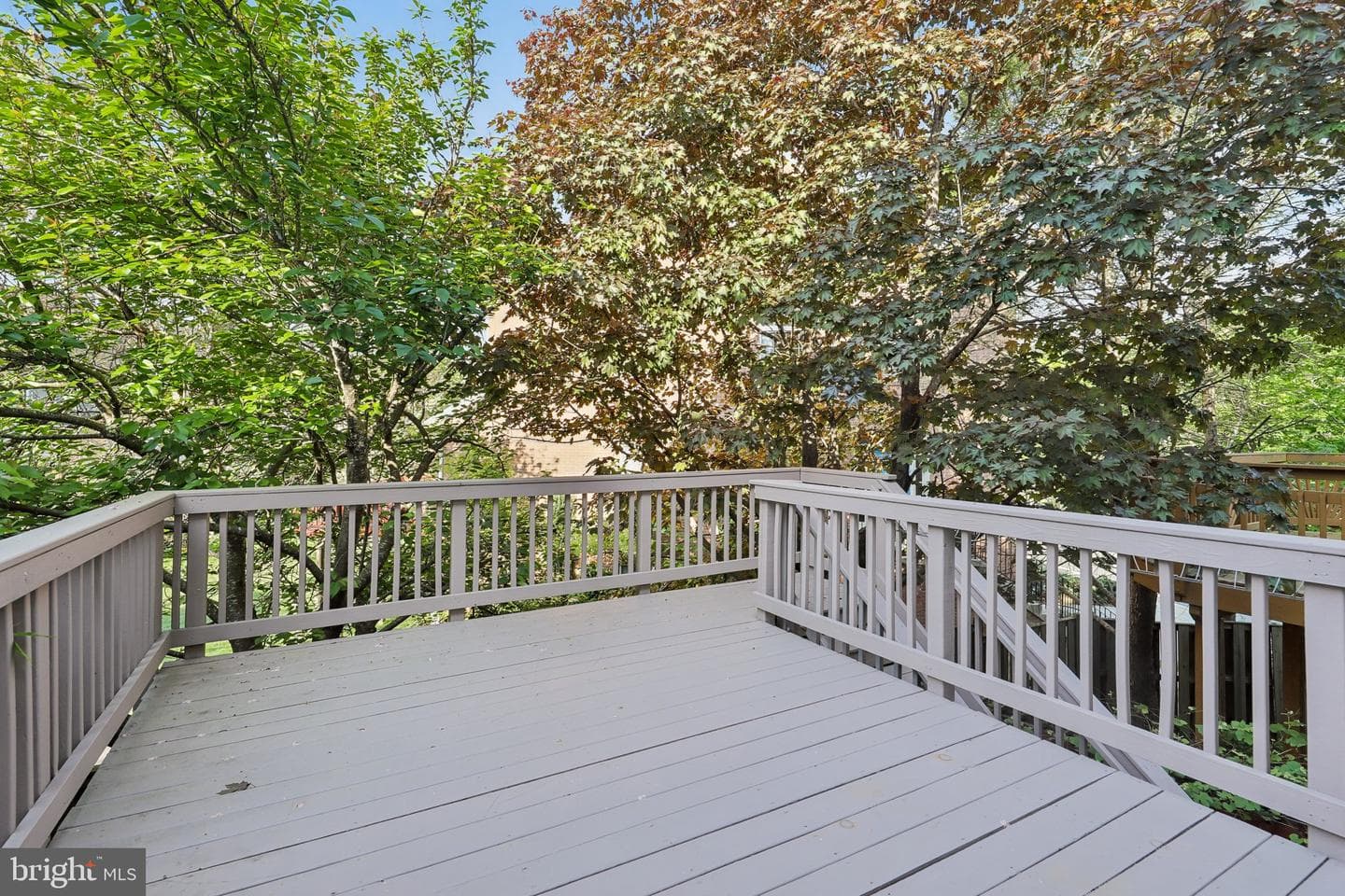 14214 Plum Run Way photo 26
