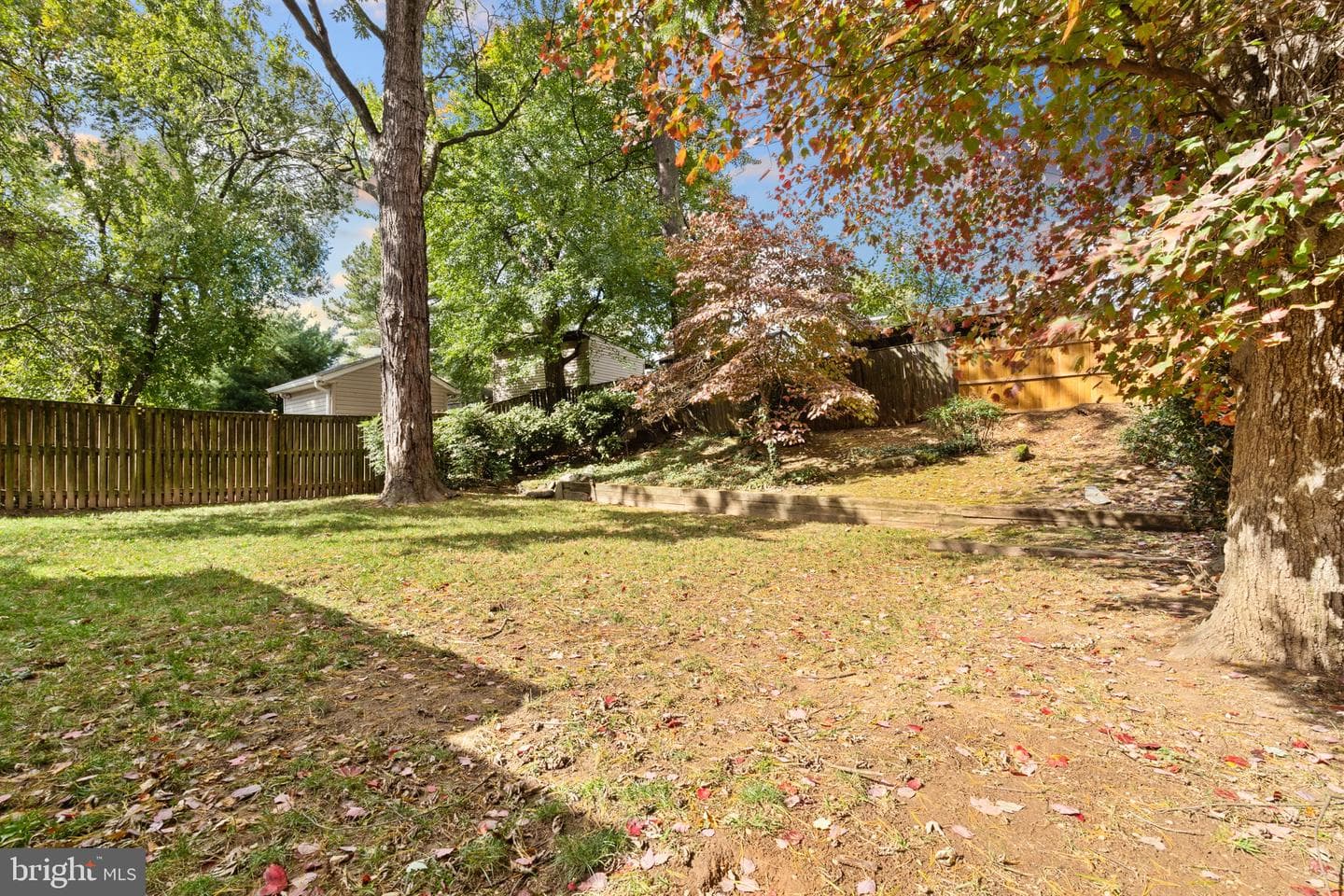 12312 Valleywood Drive photo 49