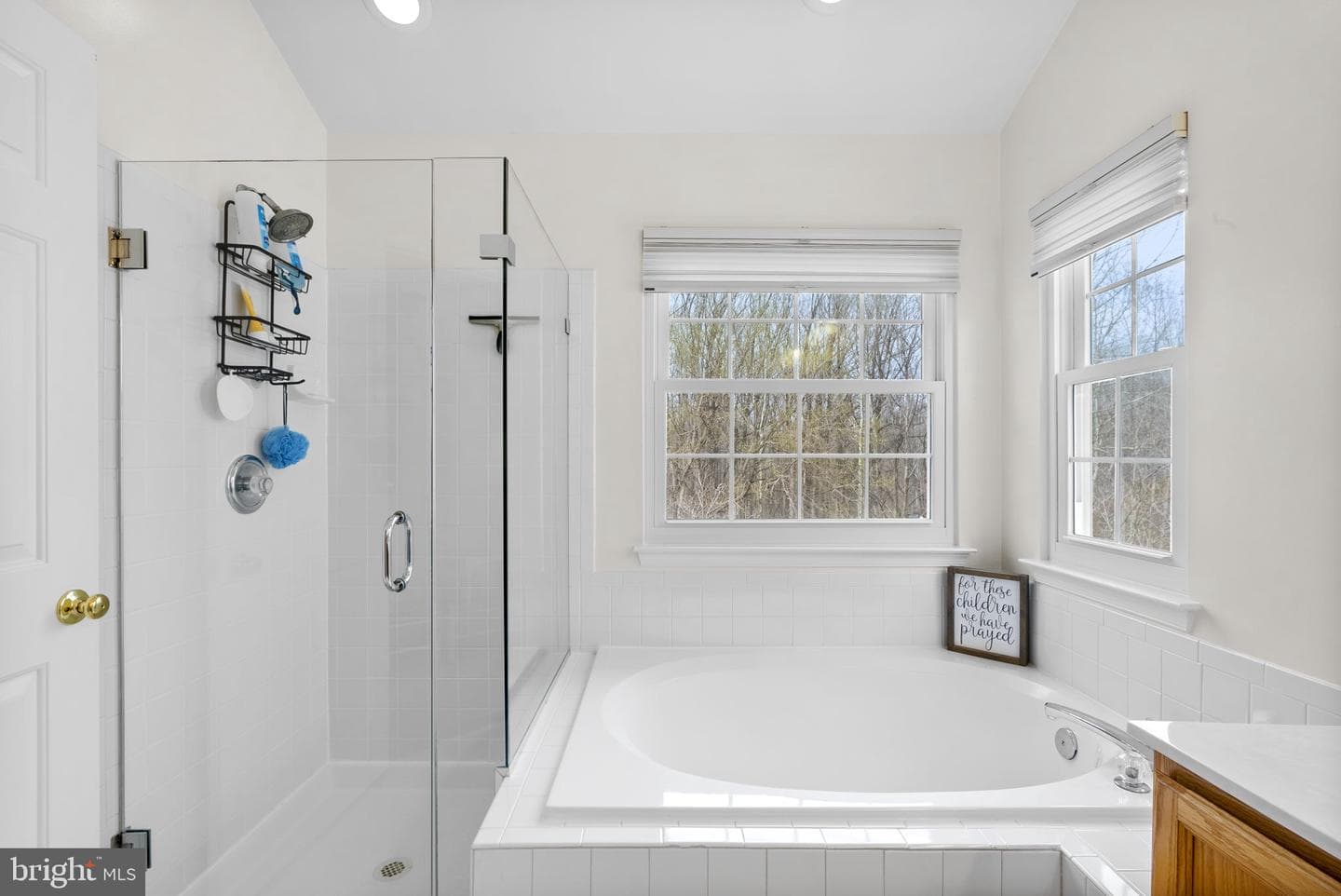 14123 Tattershall Place photo 40