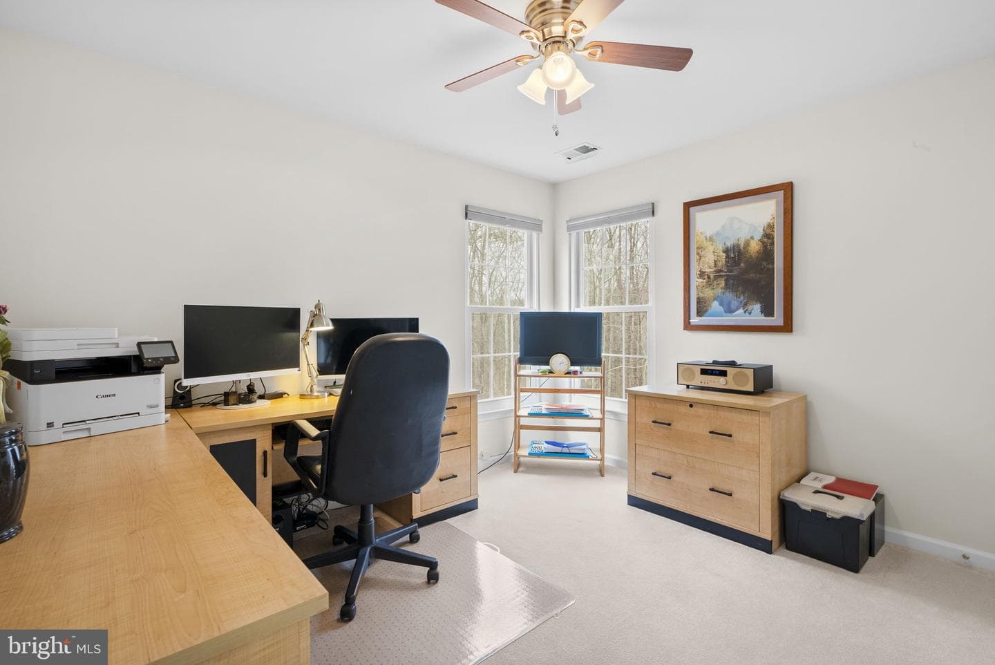 14123 Tattershall Place photo 42