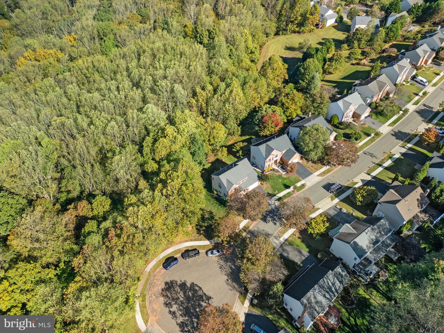 14123 Tattershall Place photo 68