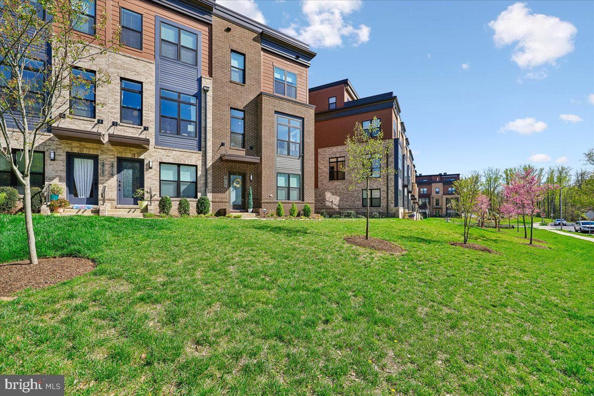 3717 Blue Lobelia Way photo 3