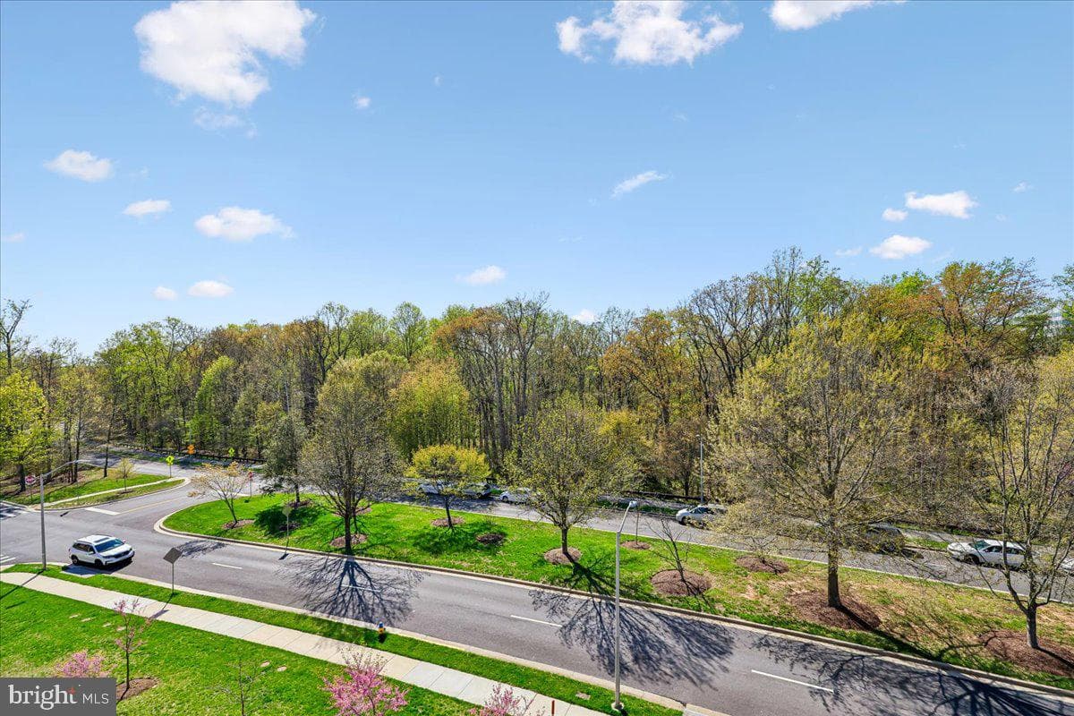 3717 Blue Lobelia Way photo 4