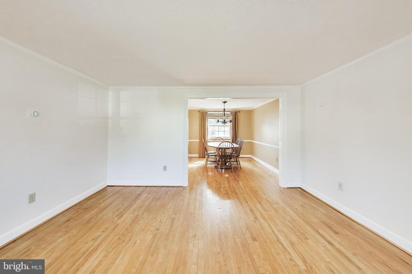4408 Morningwood Drive photo 4