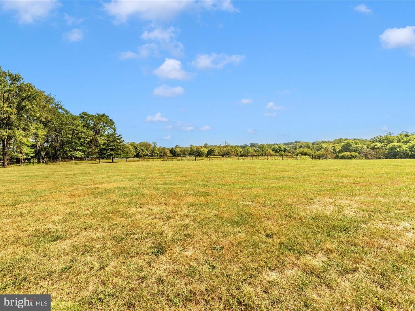 12 Barley Field photo 84