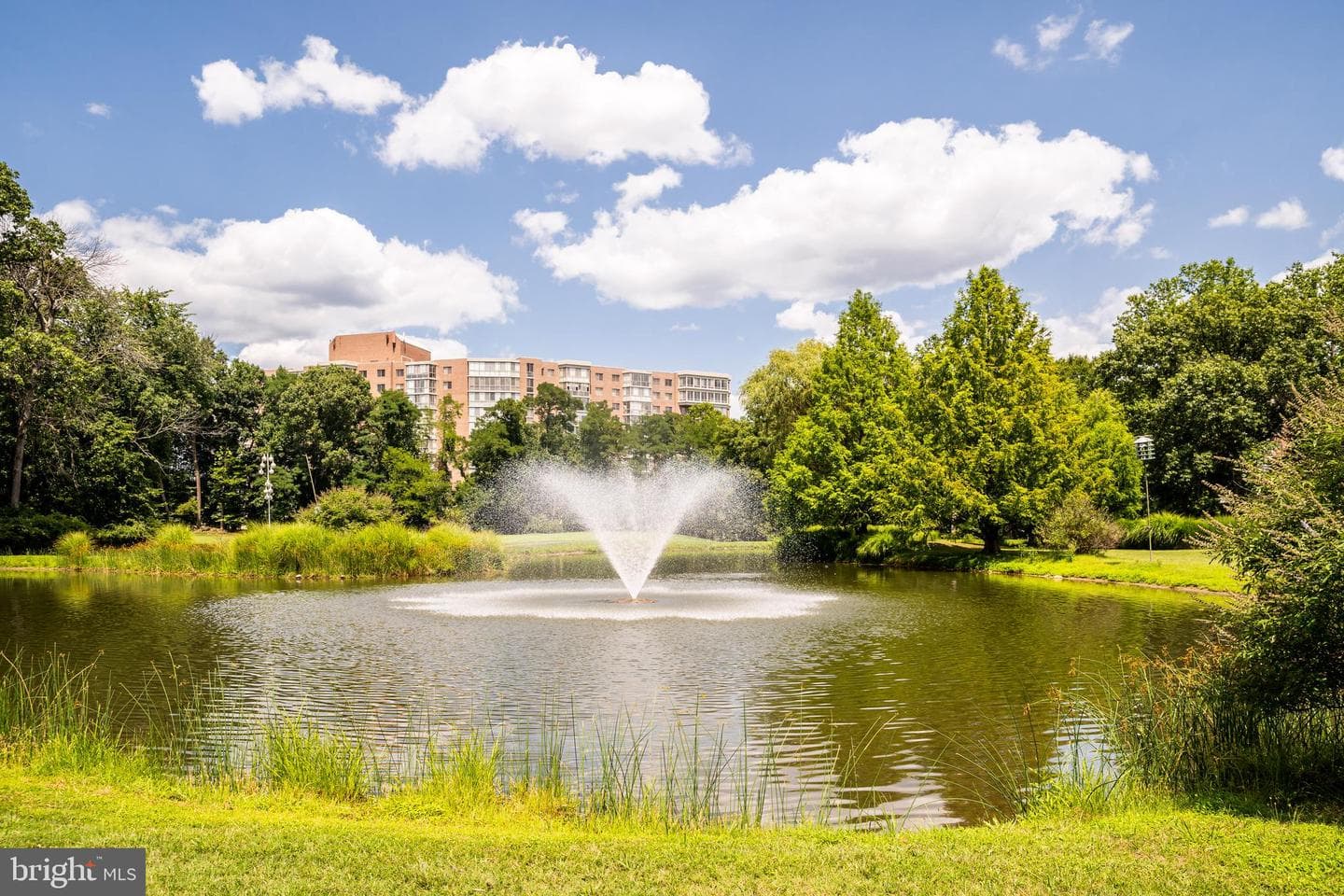 15300 Wallbrook Court #47-3a photo 49